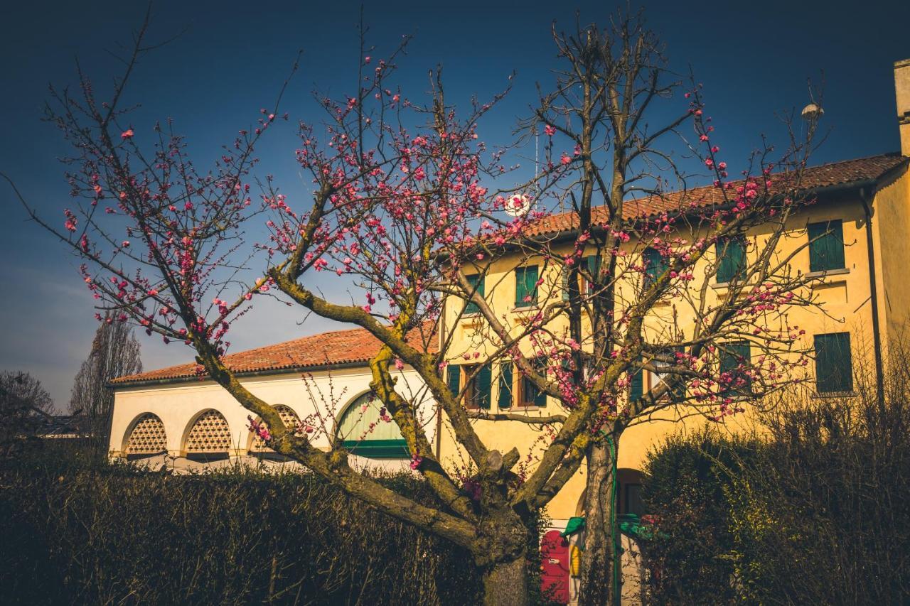 Le Vigne Morosina Villa Cessalto Exterior photo
